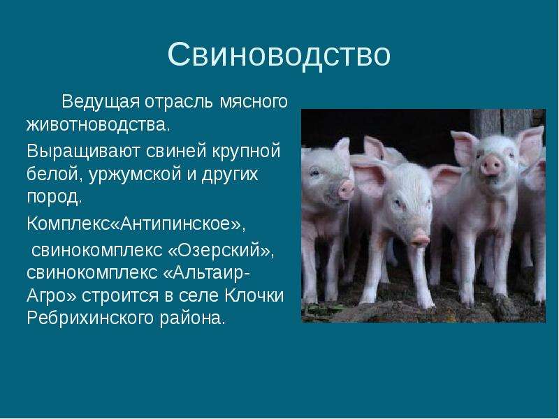 Животноводство 3 класс презентация школа россии презентация