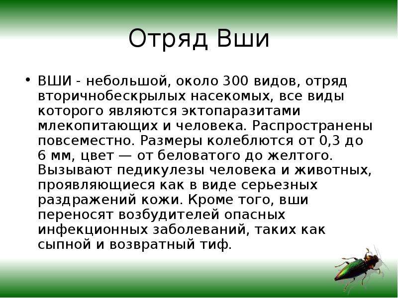 Презентация про вшей