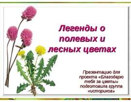 Легенды о полевых и лесных цветах Презентацию для проекта «Благодарю тебя за цветы» подготовила группа «историков»