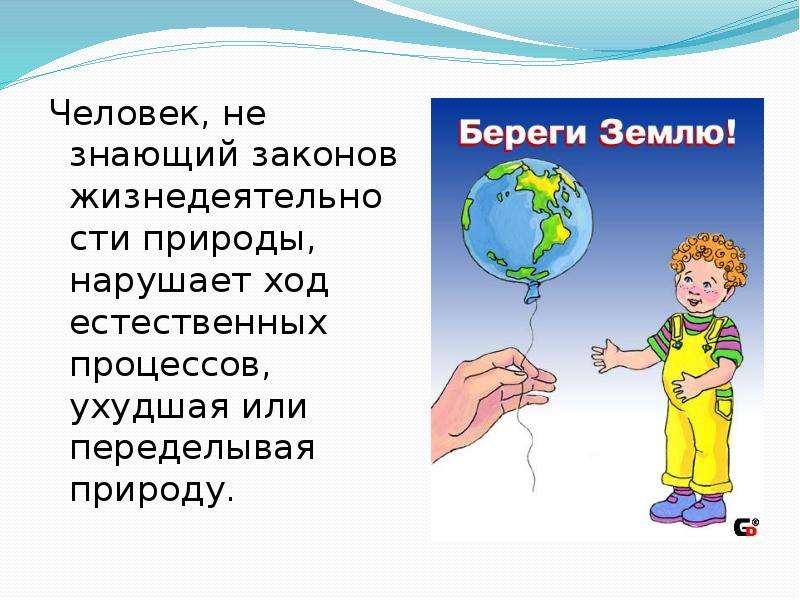 Экологические законы презентация