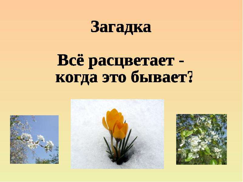 Презентация забота о природе