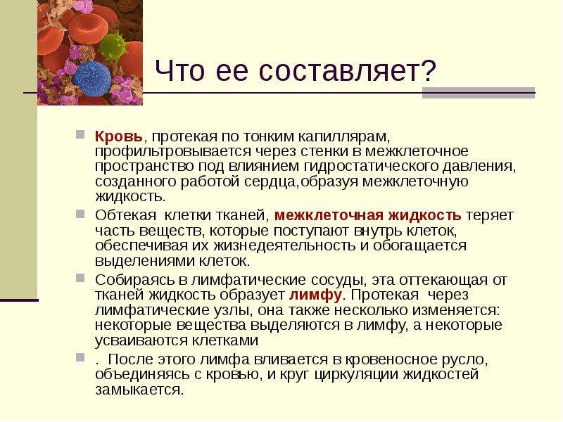 Презентация по теме кровь