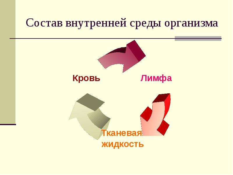 Презентация на тему внутренняя. Порог биология из чего состоит.