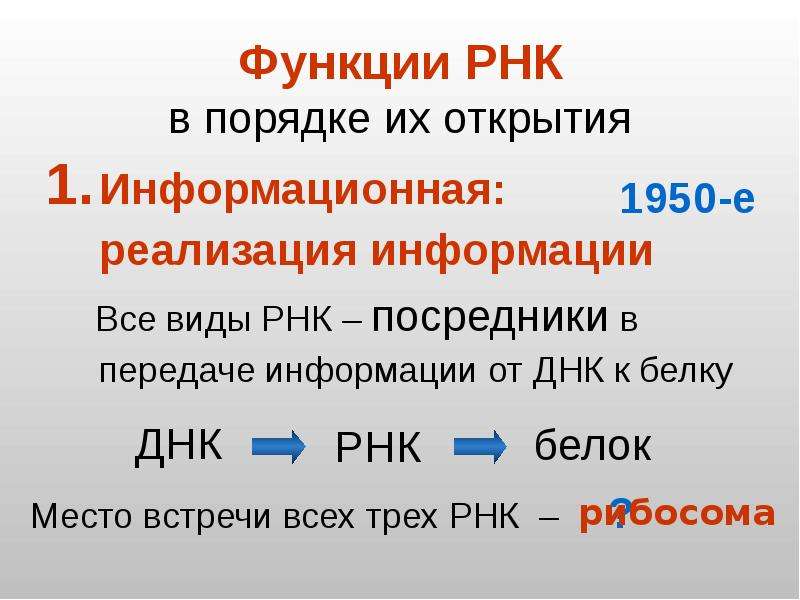 Рнк презентация 10 класс