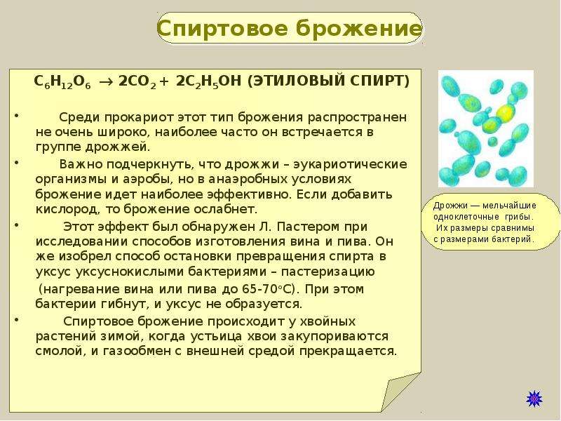 Окисление органических веществ происходит в. Обеспечение клеток энергией конспект. Обеспечивает клетку энергией. Вывод по теме обеспечение клеток энергией. Презентация по биологии на тему обеспечение клеток энергии.