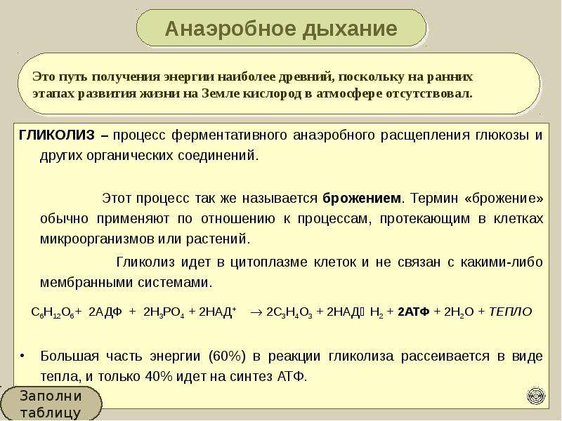 Бескислородное расщепление глюкозы. Анаэробное расщепление Глюкозы. Процессы анаэробного дыхания. Анаэробный процесс расщепления Глюкозы. Процесс ферментативного расщепления Глюкозы.