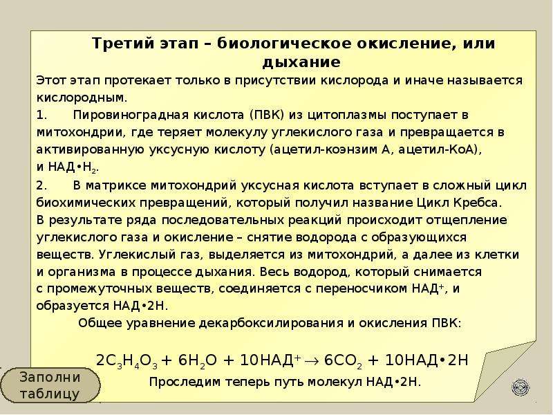 Конечные продукты окисления органических веществ. Этапы окисления органических веществ. Обеспечивает окисление органических веществ. Обеспечение клеток энергией путем окисления органических веществ. Обеспечение клеток энергией без участия кислорода.