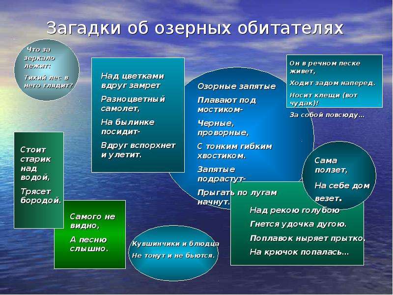 Презентация на тему экосистема озера