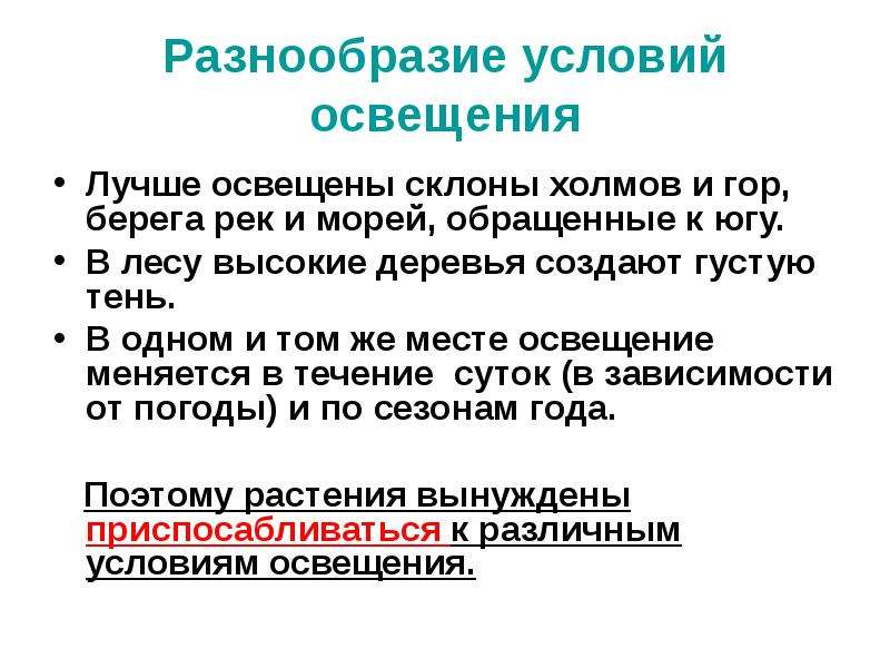 Условия освещения. Условия освещенности. Разнообразие условий освещения на земле. Условия освещения биология. Разнообразие условий освещения на земле в жизни растений.