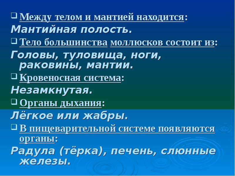 Мантийная полость. Мантийная полость находится между. Тело большинства моллюсков состоит. Между мантией и телом находится мантийная полость.