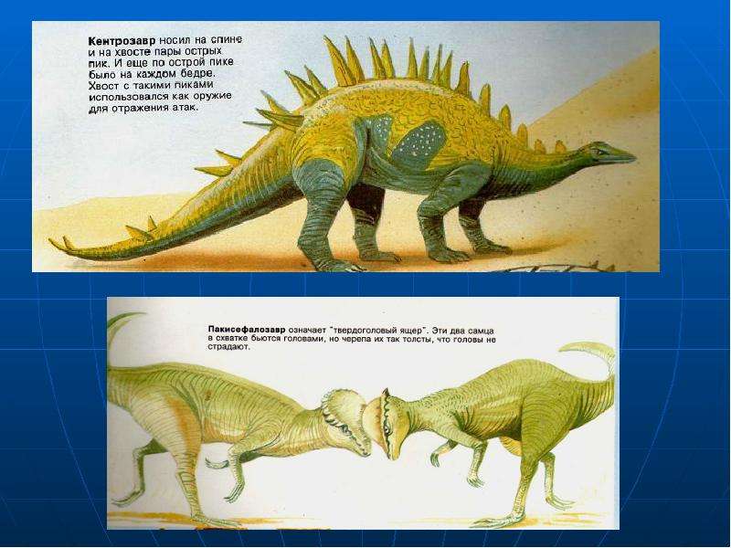 Пресмыкающиеся фото и названия