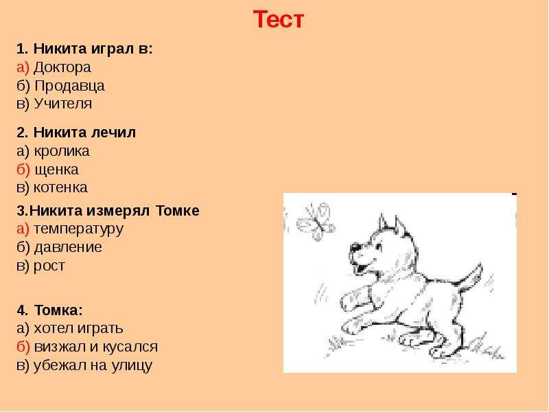 План текста никита