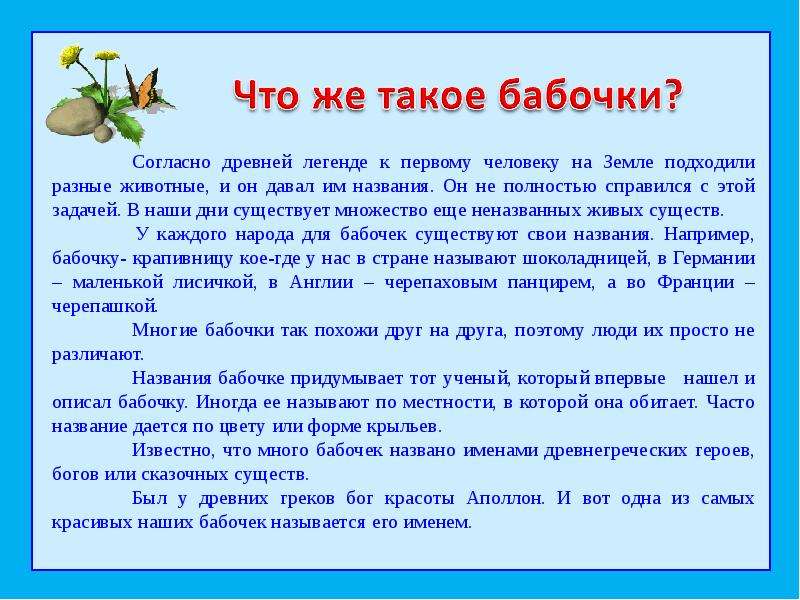 Сведения о бабочках 2 класс окружающий мир. Важные сведения о бабочках. Информация о бабочках 2 класс. Важважные сведения о бабочках. Рассказ о бабочке 2 класс.