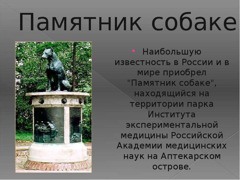 Памятник мир презентация. Памятники собакам презентация. Памятники животным презентация. Памятники животным в России презентация. Сообщение о памятниках животных.