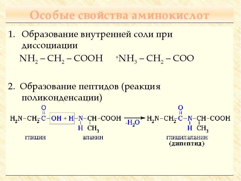 Схема реакции поликонденсации аминокислот в полипептид