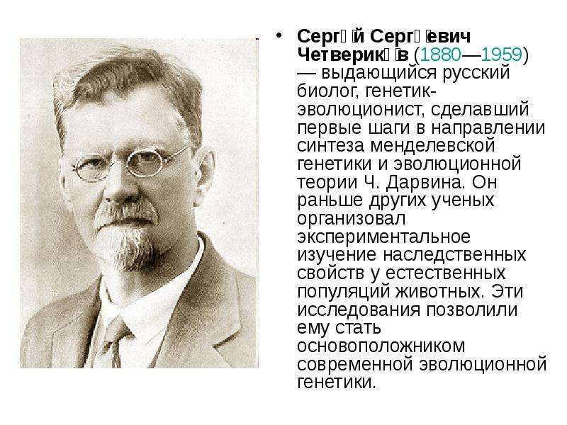 Он сергеевич. Сергей Сергеевич Четвериков. Четвериков ученый. Четвериков Сергей Сергеевич краткая биография. Четверико вклад в биологию.