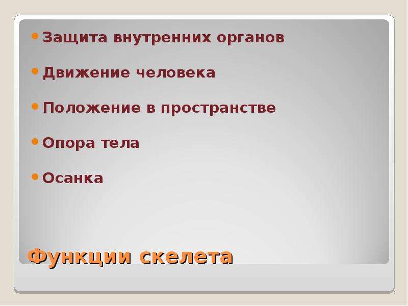 Защита внутренних органов. Положение человека в пространстве. Что защищает внутренние органы. Органы движения функции. Внутренняя защита.