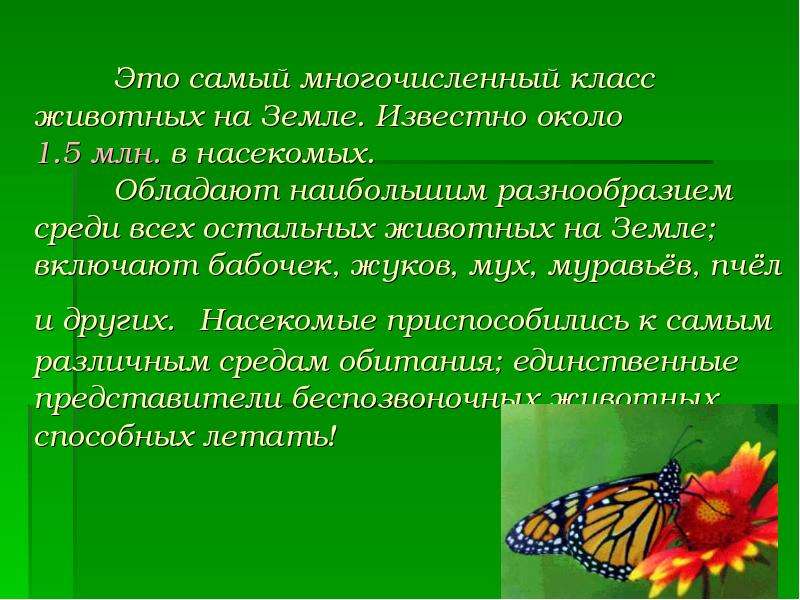 Класс насекомые урок 7 класс презентация