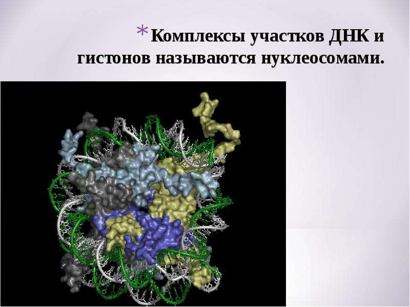 Необратимое изменение носителя наследственной