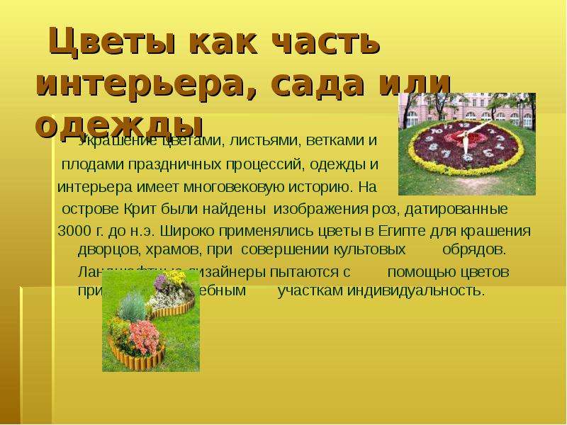 Роль цветка. Роль цветов в жизни человека. Цветы в жизни человека презентация. Роль цветов в нашей жизни. Значение цветка в жизни человека.