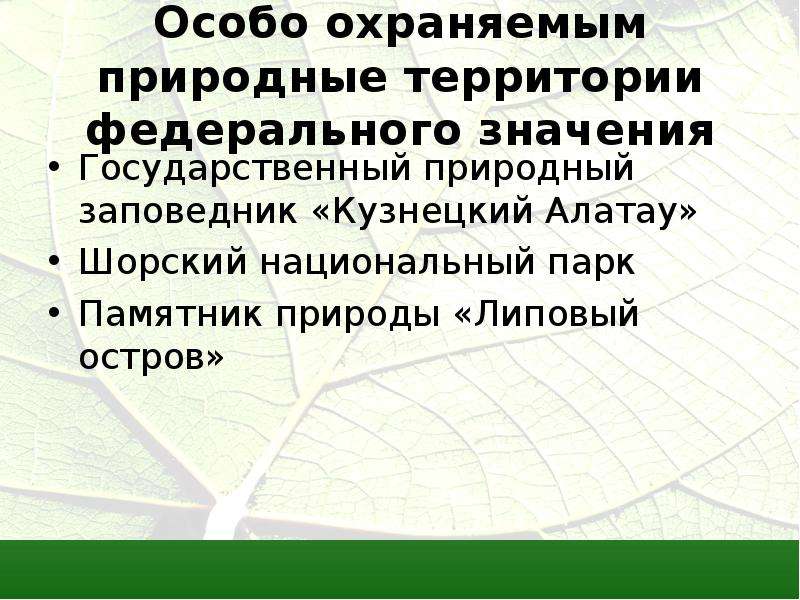 Презентация липовый остров