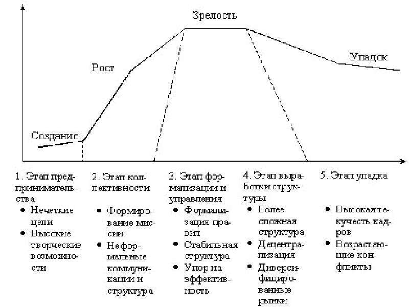 Презентация жизненный цикл организации