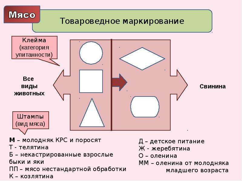 Товароведные клейма для свинины первой второй третьей четвертой пятой категорий упитанности рисунок