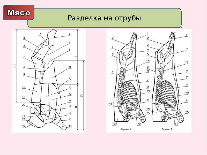 Схема разделки козлятины