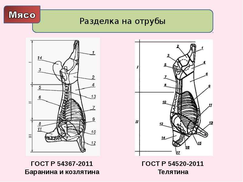 Разделка баранины схема