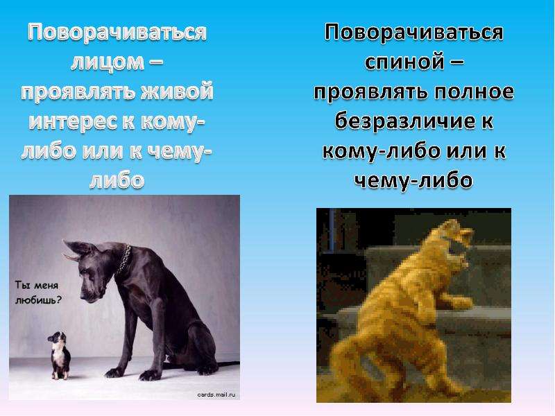 МОУ Нижнеозернинская СОШ, слайд 10