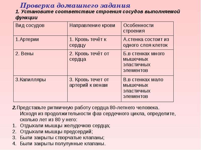 Биология 8 класс транспортные системы организма презентация