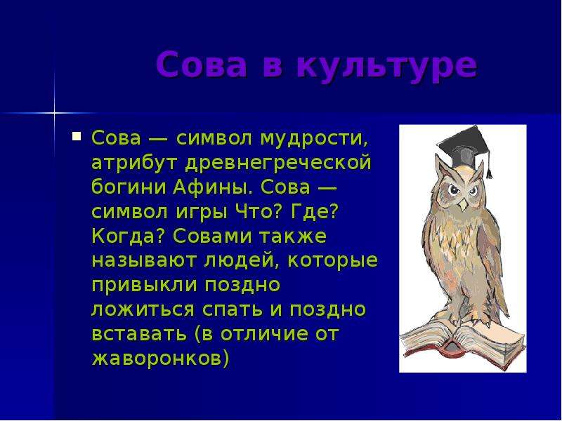 Что означает сова. Сова символ мудрости. Что символизирует Сова. Сова символ чего. Символ Сова что означает.