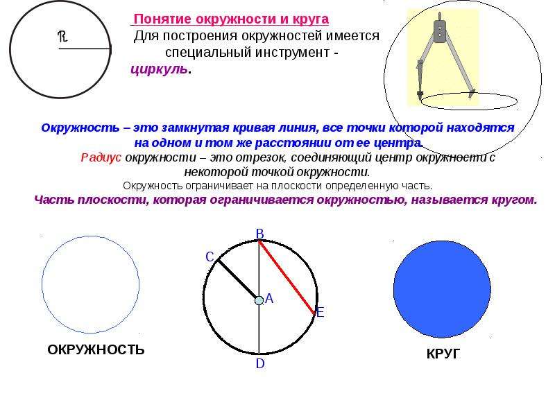 Круг и окружность - презентация по Геометрии, слайд №4
