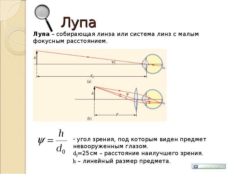 Лупа характеристика изображения физика