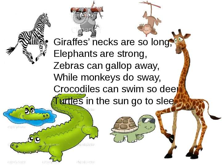 Giraffe elephant monkey. A wonderful World of animals. Зоопарк на английском языке крокодил Жираф. Write about Giraffes 4 класс по английскому. План урока Zebras can Run.
