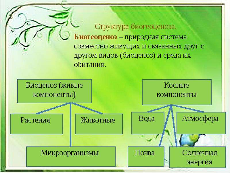 Биология 7 класс факторы среды и их влияние на биоценозы презентация 7 класс