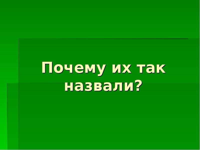 Так назван проект. Почему их так назвали. Проект почему это так называется 2 класс. Почему это так называется. Почему это так называется презентация.