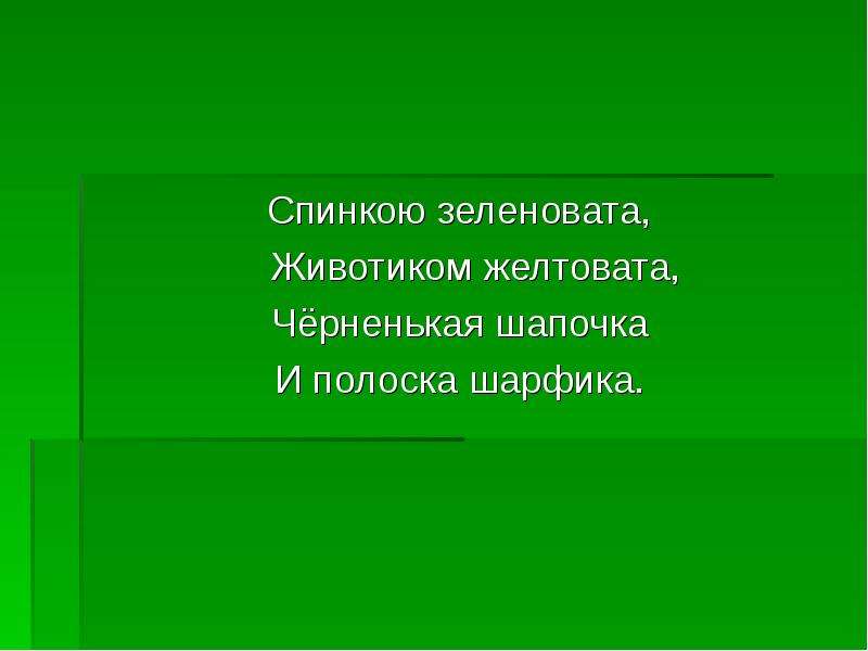 Слайдами называются. Спинкою зеленовата животиком.