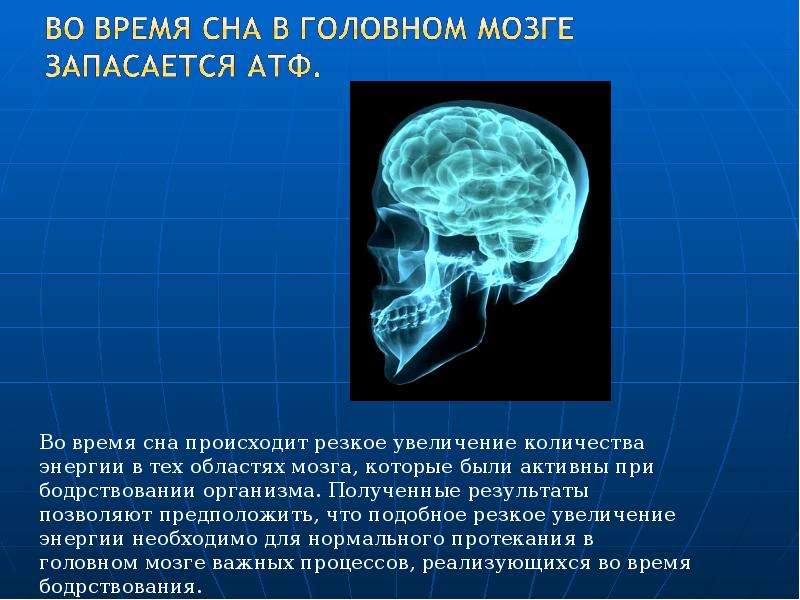 Активность мозга во сне. Головной мозг и сон. Активность мозга во сне у человека. Мозговая активность во время сна. Энергия головной мозг.