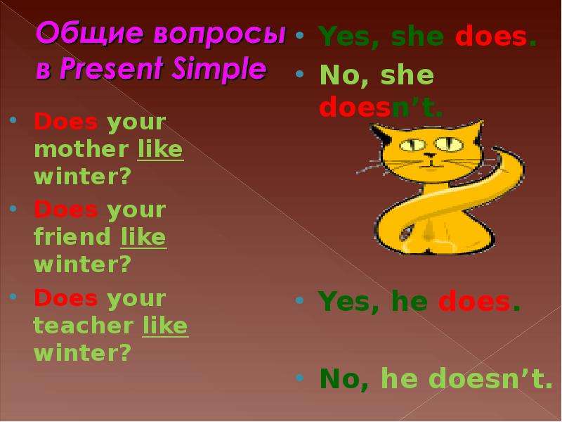 Do does презентация 4 класс