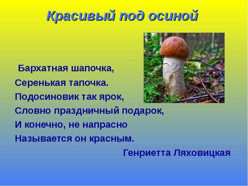 Что росло под. Подосиновик. Белый гриб и подосиновик. Стих про подосиновик для детей. Презентация про гриб подосиновик.