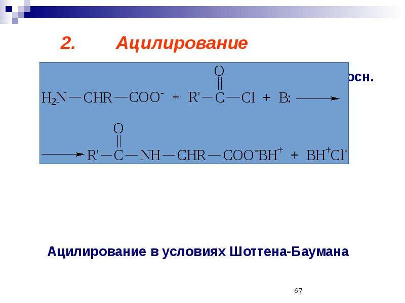 Ацилирование это. Реакция ацилирования аминокислот. Реакция Шоттена-Баумана механизм. Ацилирование по Шоттену-Бауману.. Механизм реакции ацилирования.