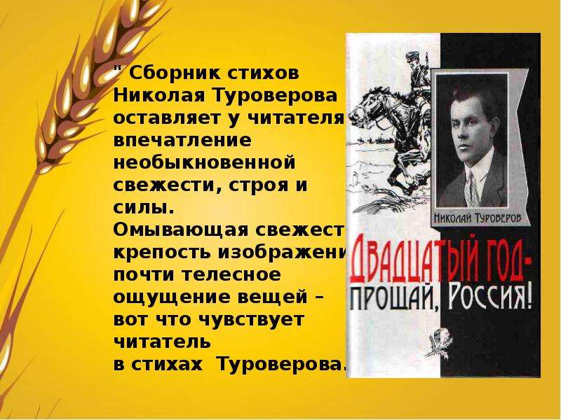 Дон автору. Николай Николаевич Туроверов стихи. Николай Туроверов — поэт, писатель. Стихи донских поэтов. Донские Писатели стихи.