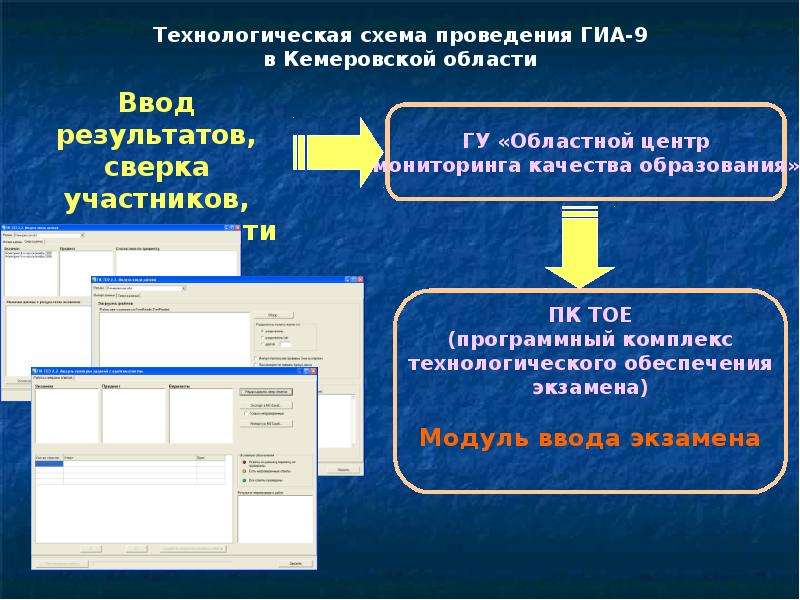 Центр мониторинга качества образования. Область ввода.