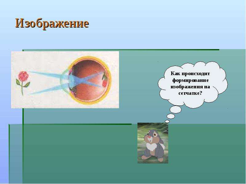 Изображение образуется. Как происходит формирование изображения на сетчатке. Где происходит формирование зрительных ощущений. Ускорение зрительной функции. Если на сетчатке глаза возникает изображение размытое как называется.