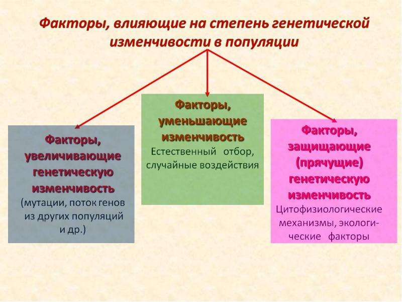 Изменчивость популяции. Факторы повышающие изменчивость в популяции. Факторы понижающие изменчивость. Учение о популяциях. Факторы снижающие изменчивость популяции.