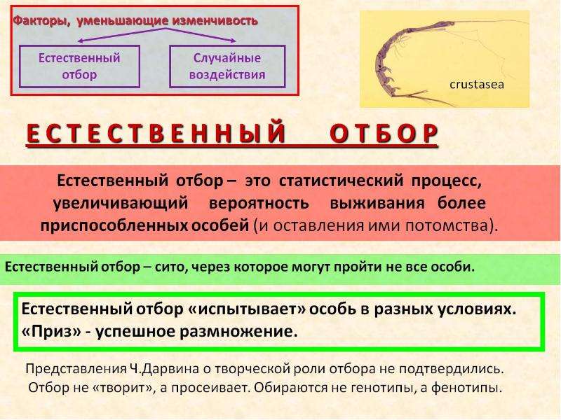 Факторы естественного отбора