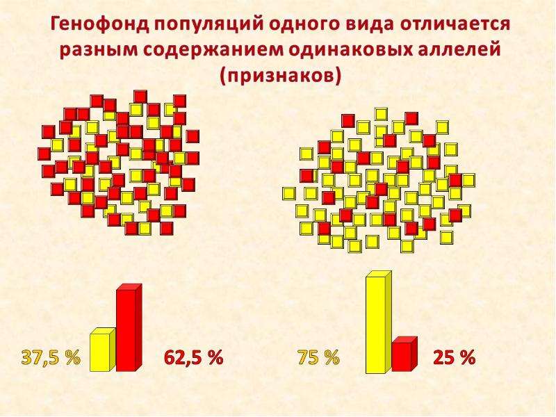 Генетический состав. Генофонд популяции. Изменение генетического состава популяции. Изменение генофонда популяций. Генетический состав популяции схема.