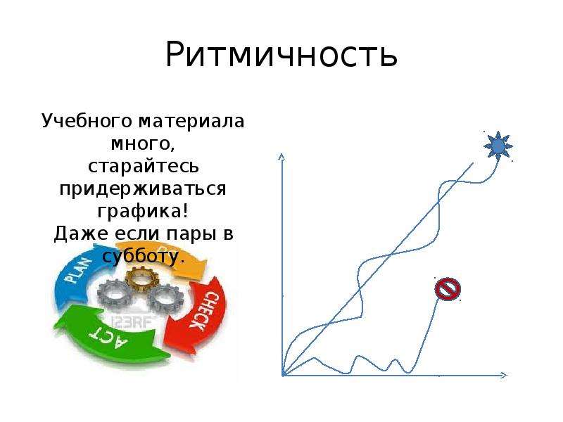 Ритмичность рисунок по биологии