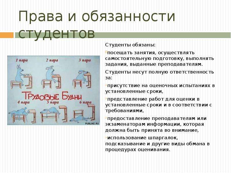 Проект права и обязанности студентов